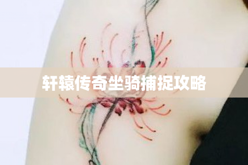 轩辕传奇坐骑捕捉攻略 轩辕传奇坐骑捕捉攻略