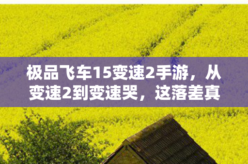 极品飞车15变速2手游,从变速2到变速哭,这落差真相让我笑着骂完,哭着又开了一局 极品飞车15变速2手游,从变速2到变速哭,这落差真相让我笑着骂完,哭着又开了一局