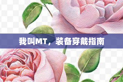 我叫MT，装备穿戴指南