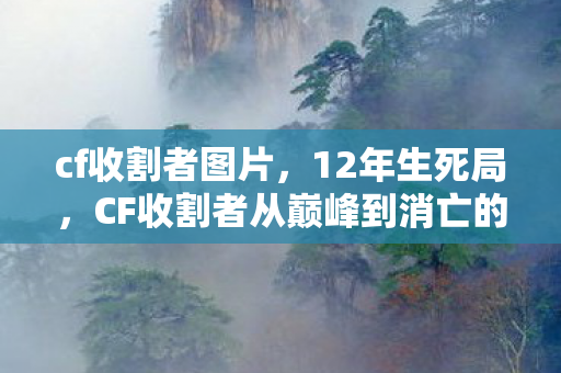 cf收割者图片，12年生死局，CF收割者从巅峰到消亡的谜面，泪目真相藏在代码里