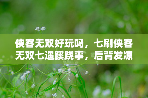 侠客无双好玩吗,七刷侠客无双七遇蹊跷事,后背发凉才知被游戏耍了七年 侠客无双好玩吗,七刷侠客无双七遇蹊跷事,后背发凉才知被游戏耍了七年