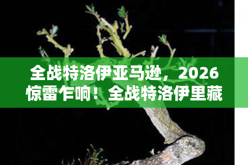 全战特洛伊亚马逊,2026惊雷乍响!全战特洛伊里藏着谁替我扛的BOSS,鼻子一酸旧情翻涌 全战特洛伊亚马逊,2026惊雷乍响!全战特洛伊里藏着谁替我扛的BOSS,鼻子一酸旧情翻涌