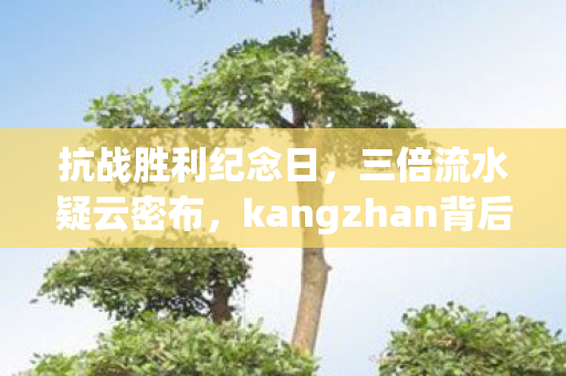 抗战胜利纪念日,三倍流水疑云密布,kangzhan背后资本博弈让玩家心寒 抗战胜利纪念日,三倍流水疑云密布,kangzhan背后资本博弈让玩家心寒