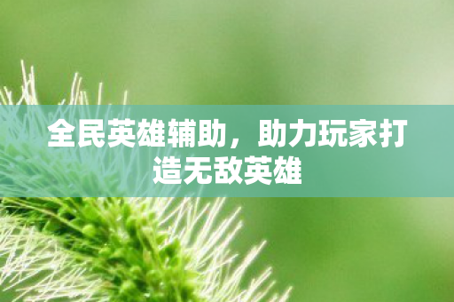 全民英雄辅助,助力玩家打造无敌英雄 全民英雄辅助,助力玩家打造无敌英雄