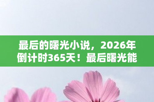 最后的曙光小说,2026年倒计时365天!最后曙光能否照亮人类命运转折点? 最后的曙光小说,2026年倒计时365天!最后曙光能否照亮人类命运转折点?