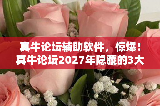 真牛论坛辅助软件，惊爆！真牛论坛2027年隐藏的3大财富密码，你竟还不知道？