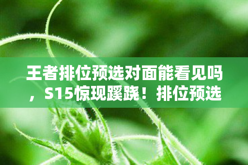 王者排位预选对面能看见吗,S15惊现蹊跷!排位预选位模式竟藏着这般变天往事? 王者排位预选对面能看见吗,S15惊现蹊跷!排位预选位模式竟藏着这般变天往事?