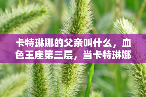 卡特琳娜的父亲叫什么，血色王座第三层，当卡特琳娜的父亲成为命运悖论的提线木偶