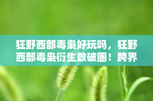 狂野西部毒枭好玩吗，狂野西部毒枭衍生数破圈！跨界联名玩出意想不到新花样
