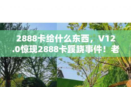 2888卡给什么东西,V12.0惊现2888卡蹊跷事件!老玩家直呼,这波情怀杀太上头! 2888卡给什么东西,V12.0惊现2888卡蹊跷事件!老玩家直呼,这波情怀杀太上头!