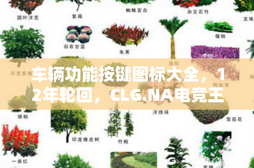 车辆功能按键图标大全，12年轮回，CLG.NA电竞王朝的崩塌与重生，泪目真相藏在最后一帧