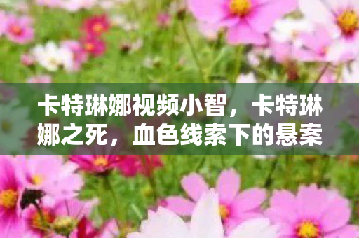 卡特琳娜视频小智，卡特琳娜之死，血色线索下的悬案，真相令人毛骨悚然