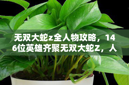 无双大蛇z全人物攻略,146位英雄齐聚无双大蛇Z,人数谜团背后竟藏着破防真相? 无双大蛇z全人物攻略,146位英雄齐聚无双大蛇Z,人数谜团背后竟藏着破防真相?