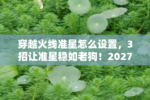 穿越火线准星怎么设置，3招让准星稳如老狗！2027年CF玩家亲测，爆头率飙升80%的秘密