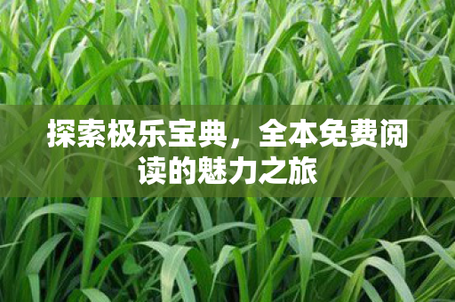 探索极乐宝典，全本免费阅读的魅力之旅
