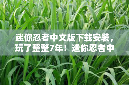 迷你忍者中文版下载安装,玩了整整7年!迷你忍者中文版,选新玩法还是怀旧情? 迷你忍者中文版下载安装,玩了整整7年!迷你忍者中文版,选新玩法还是怀旧情?
