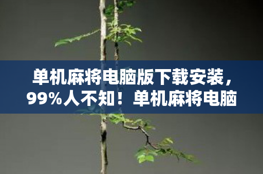 单机麻将电脑版下载安装,99%人不知!单机麻将电脑版竟藏这3大逆天玩法,颠覆你的认知! 单机麻将电脑版下载安装,99%人不知!单机麻将电脑版竟藏这3大逆天玩法,颠覆你的认知!