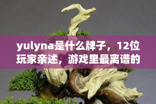 yulyna是什么牌子,12位玩家亲述,游戏里最离谱的疑点,听完我直接绷不住了! yulyna是什么牌子,12位玩家亲述,游戏里最离谱的疑点,听完我直接绷不住了!