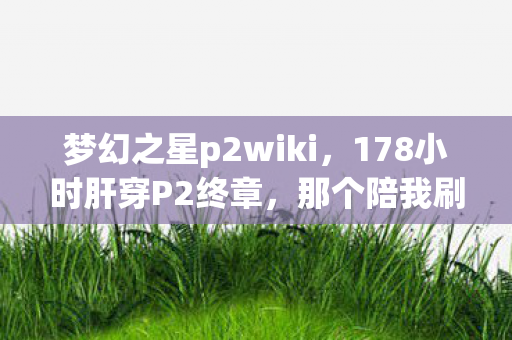 梦幻之星p2wiki,178小时肝穿P2终章,那个陪我刷爆3000次副本的TA,为何在2027年删号前说了句对不起? 梦幻之星p2wiki,178小时肝穿P2终章,那个陪我刷爆3000次副本的TA,为何在2027年删号前说了句对不起?