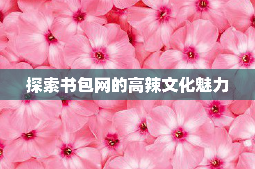 探索书包网的高辣文化魅力