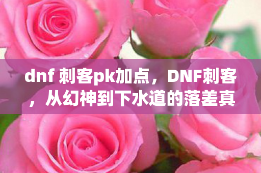 dnf 刺客pk加点，DNF刺客，从幻神到下水道的落差真相，笑着笑着就哭了