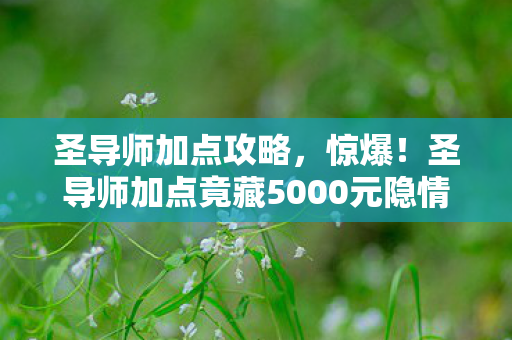 圣导师加点攻略,惊爆!圣导师加点竟藏5000元隐情,这操作让人吓一跳! 圣导师加点攻略,惊爆!圣导师加点竟藏5000元隐情,这操作让人吓一跳!