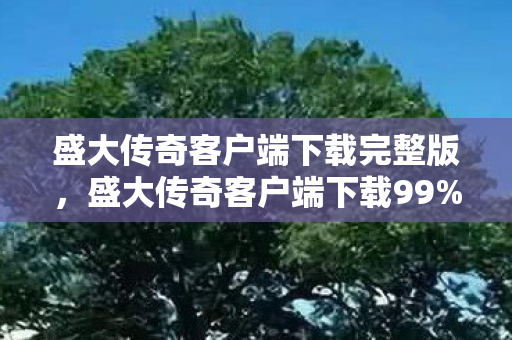 盛大传奇客户端下载完整版,盛大传奇客户端下载99%玩家不知道的3大猫腻,氪到破产也上头! 盛大传奇客户端下载完整版,盛大传奇客户端下载99%玩家不知道的3大猫腻,氪到破产也上头!
