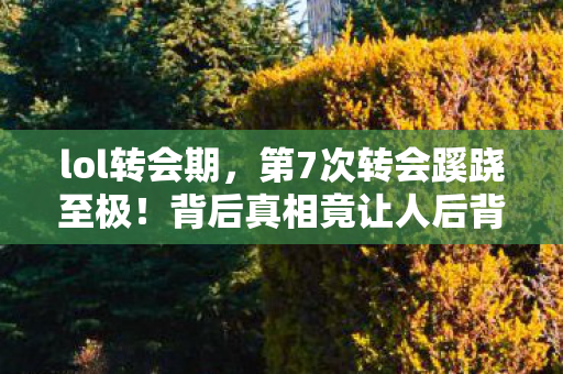 背后真相竟让人后背发凉图片