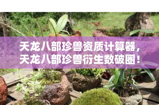 天龙八部珍兽资质计算器,天龙八部珍兽衍生数破圈!当败家遇上意想不到的周边宇宙 天龙八部珍兽资质计算器,天龙八部珍兽衍生数破圈!当败家遇上意想不到的周边宇宙