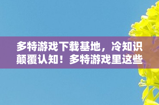 多特游戏里这些设计图片