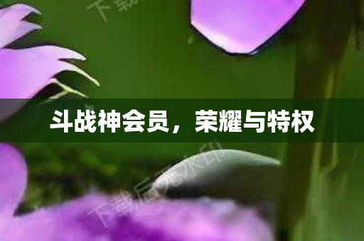 斗战神会员,荣耀与特权 斗战神会员,荣耀与特权