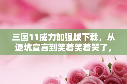 三国11威力加强版下载,从退坑宣言到笑着笑着哭了,三国11威力加强版下载背后的真相落差 三国11威力加强版下载,从退坑宣言到笑着笑着哭了,三国11威力加强版下载背后的真相落差
