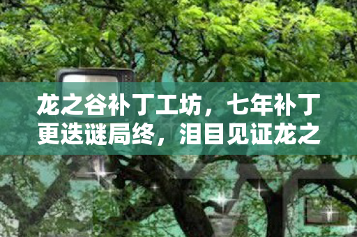 泪目见证龙之谷落幕终章图片