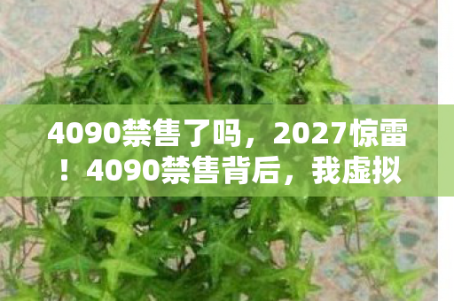 4090禁售了吗，2027惊雷！4090禁售背后，我虚拟情缘竟成最长守候