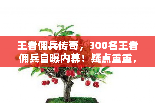 王者佣兵传奇,300名王者佣兵自曝内幕!疑点重重,这操作真绷不住了! 王者佣兵传奇,300名王者佣兵自曝内幕!疑点重重,这操作真绷不住了!