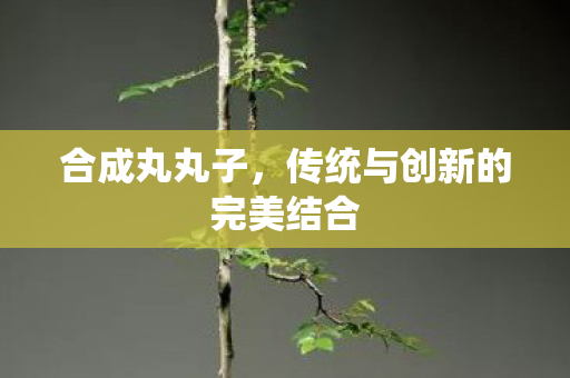 合成丸丸子,传统与创新的完美结合 合成丸丸子,传统与创新的完美结合