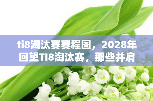 2028年回望TI8淘汰赛图片