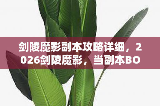 剑陵魔影副本攻略详细，2026剑陵魔影，当副本BOSS倒下时，我鼻子一酸想起你替我扛的伤