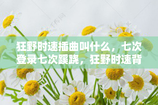 狂野时速插曲叫什么图片