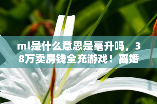 ml是什么意思是毫升吗，38万卖房钱全充游戏！离婚协议藏惊天隐情，看完吓出一身冷汗！