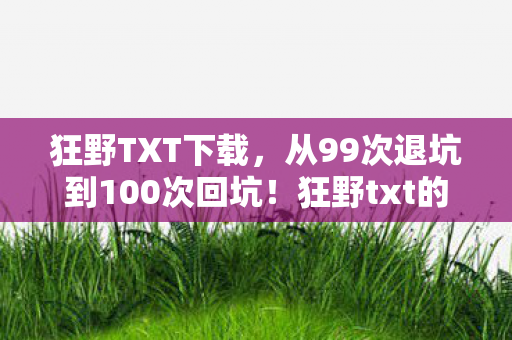 狂野TXT下载，从99次退坑到100次回坑！狂野txt的魔力竟让我2027年重燃热血？