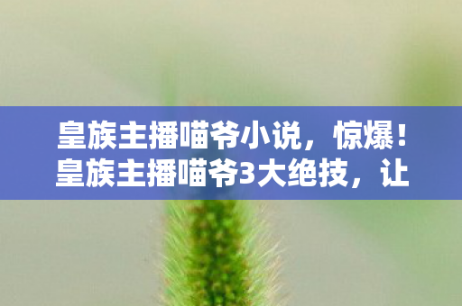 皇族主播喵爷3大绝技图片