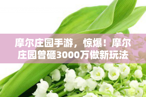 摩尔庄园手游，惊爆！摩尔庄园曾砸3000万做新玩法，隐情曝光让人吓一跳！