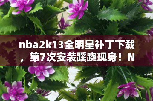 nba2k13全明星补丁下载，第7次安装蹊跷现身！NBA2K13全明星补丁背后，后背发凉的真相