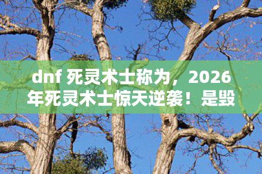 2026年死灵术士惊天逆袭图片