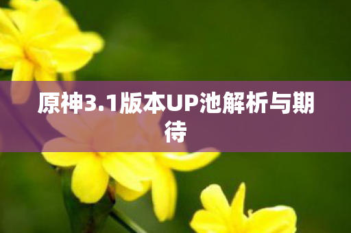 原神3.1版本UP池解析与期待 原神3.1版本UP池解析与期待