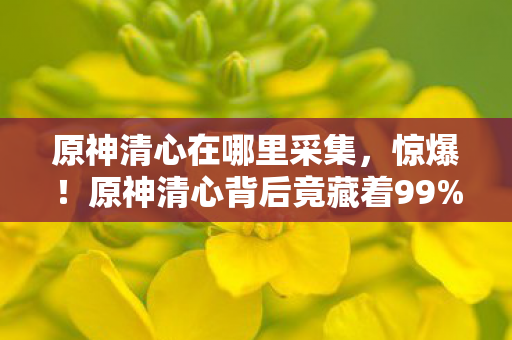 原神清心背后竟藏着99图片