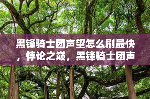 黑锋骑士团声望怎么刷最快图片