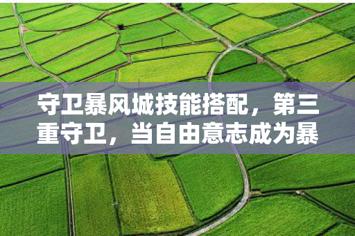 当自由意志成为暴风城最坚固的城墙图片