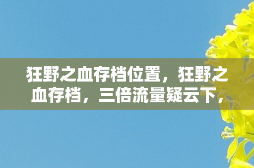 狂野之血存档位置图片